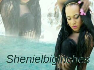 Shenielbiginches