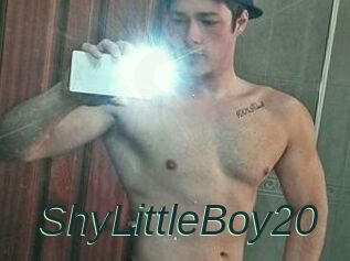 ShyLittleBoy20