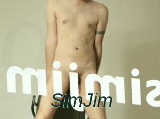SimJim