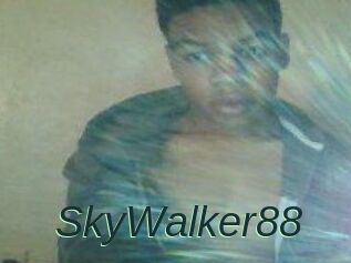 SkyWalker88