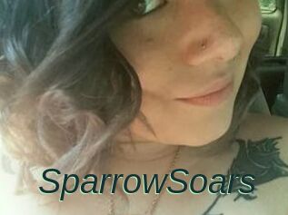 SparrowSoars