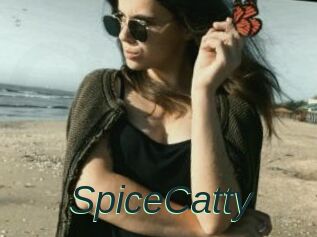 SpiceCatty