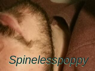 Spinelesspoppy