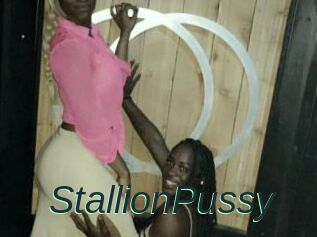 StallionPussy