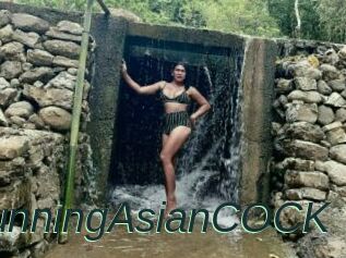StunningAsianCOCK