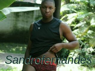 Sandrofernandes