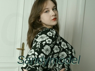 Sandymodel