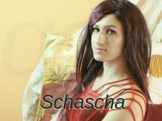 Schascha
