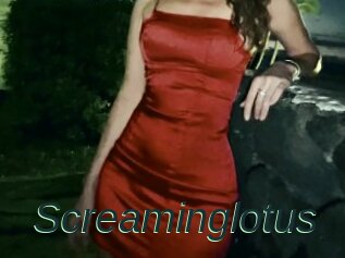 Screaminglotus