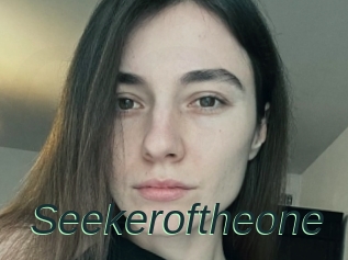 Seekeroftheone