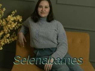 Selenabarnes
