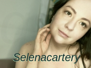 Selenacartery