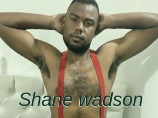 Shane_wadson