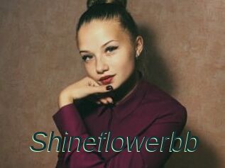 Shineflowerbb