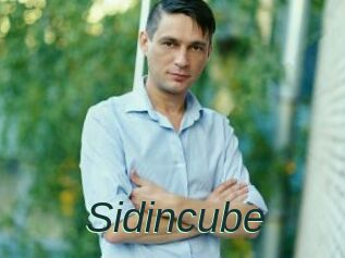 Sid_incube