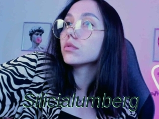 Silicialumberg