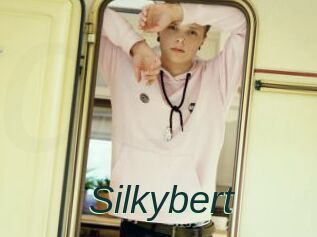 Silkybert