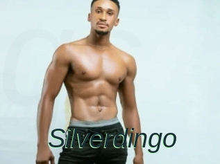 Silverdingo