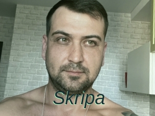 Skripa