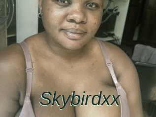 Skybirdxx