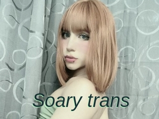 Soary_trans