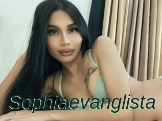 Sophiaevanglista