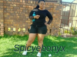 Spicyebonyx