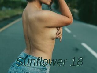 Sunflower_18
