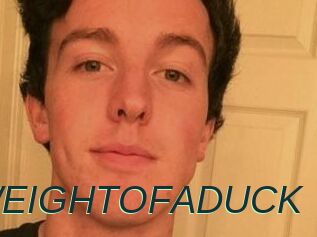 THEWEIGHTOFADUCK