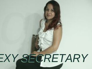 THE_SEXY_SECRETARY