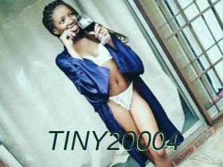 TINY20004