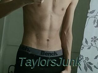 TaylorsJunk