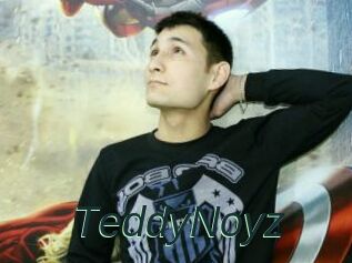 TeddyNoyz