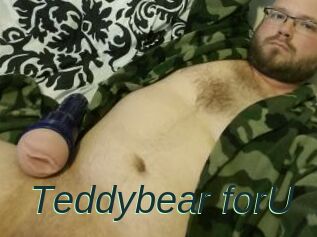 Teddybear_forU