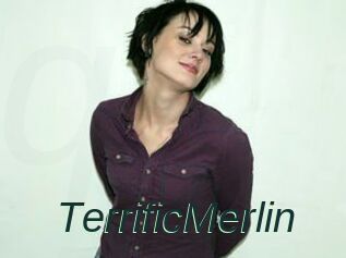 TerrificMerlin