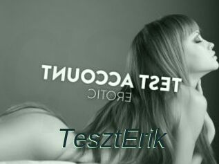 TesztErik