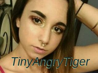 TinyAngryTiger