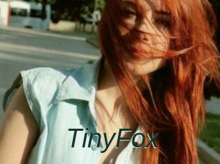 TinyFox