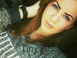 TinyTess