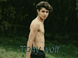 Tony_wolf