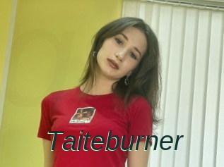Taiteburner