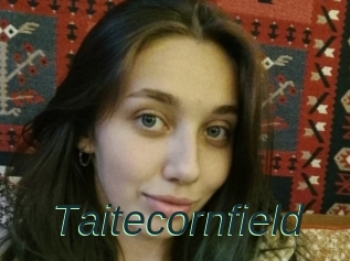 Taitecornfield