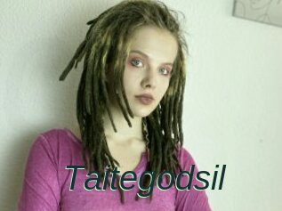 Taitegodsil