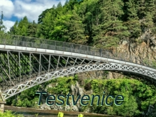 Testvenice