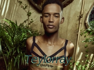 Teylorray
