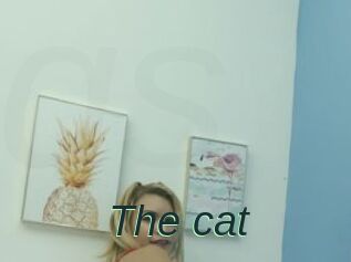 The_cat