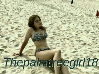 Thepalmtreegirl18