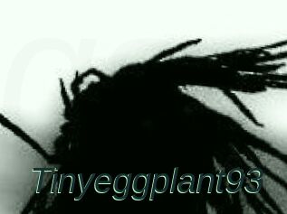 Tinyeggplant93