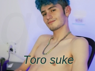 Toro_suke