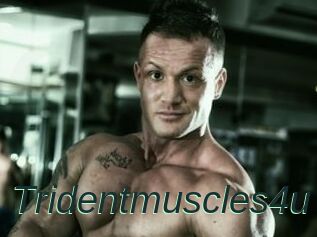 Tridentmuscles4u